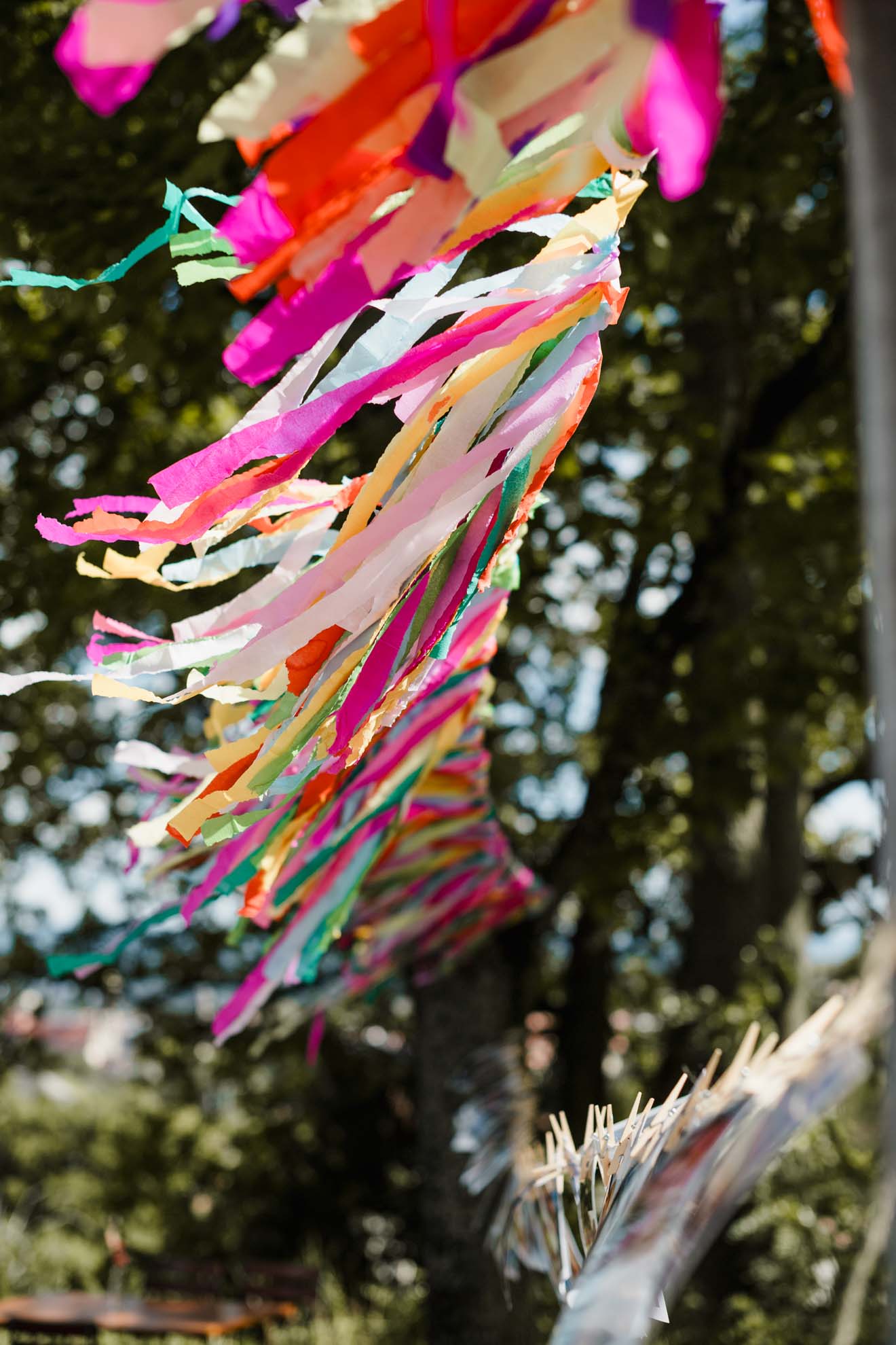 Hochzeit, Bamberg, Feier, Villa Remeis, Windspiel